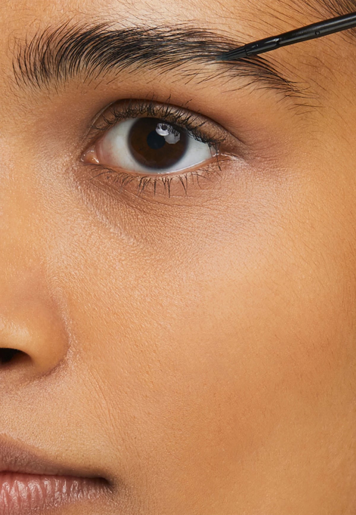 The Ordinary multi peptide lash and brow serum