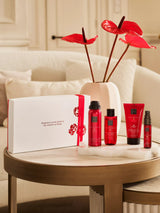 Rituals The Ritual of Ayurveda coffret cadeau (S)