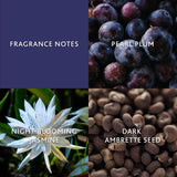 Christina Aguilera Moonlight Bloom Brume parfumée corps