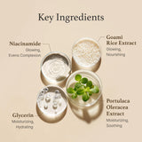 I’m from Rice Toner